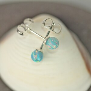 May include: A pair of silver stud earrings with blue opal stones. The earrings are displayed on a white seashell.