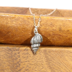 Shell necklace, silver conch shell necklace, beach necklace, spiral shell pendant, sea shell jewelry, dainty shell, sterling silver chain