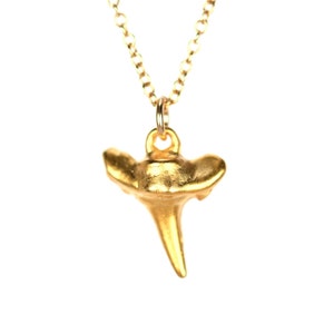 Gold shark tooth necklace , tiny shark tooth pedant, surfer necklace, beach lover, a 14k gold vermeil sharks tooth on 14k gold filled chain