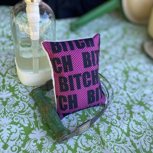 Adult theme Dish scrubber, reusable sponge alternative Swears BITCH or ASSHOLE