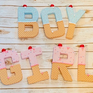 Gender reveal party, ice cream party, boy or girl,