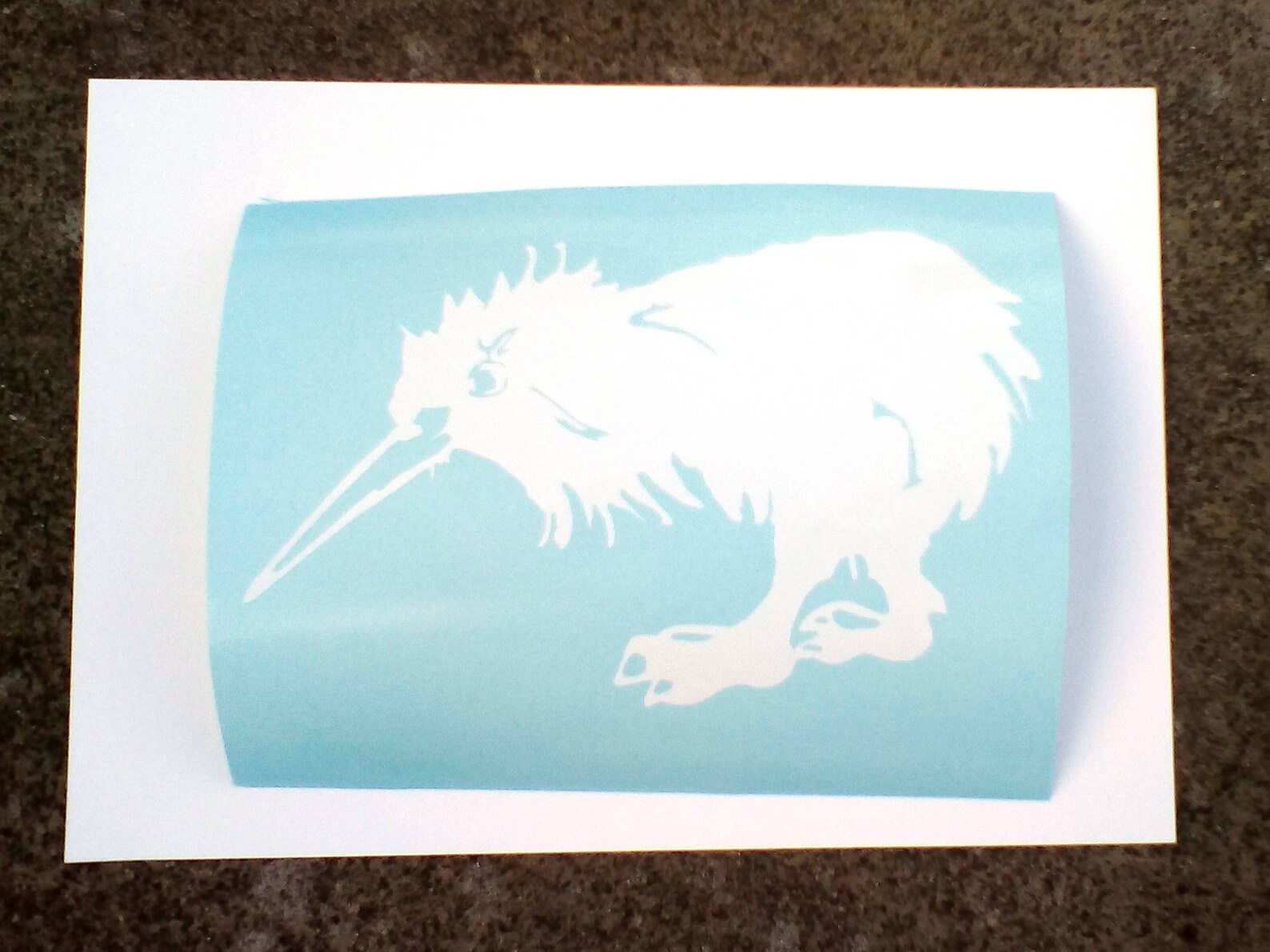 2X Kiwi Bird Decal. A6 size. Kiwi Pride. Aotearoa NZ Etsy
