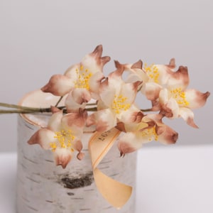 Pretty  Beige/Brown Vintage flower spray, NOS Millinery for hats, fascinator, corsages, weddings, hair clips, brooches, pin up girls flowers