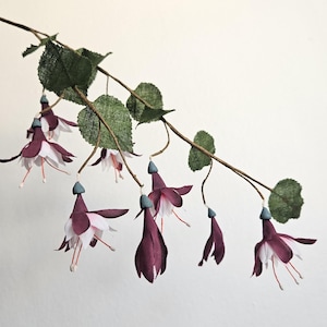 May include: A decorative branch featuring multiple fuchsia flowers with deep purple outer petals and white inner petals. The flowers hang from thin stems with small, textured green leaves. Each bloom has a small blue-grey calyx and thin stamens.