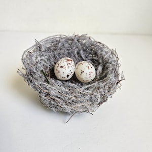 May include: A small, gray bird's nest made of twigs and fibers, containing two speckled eggs. The eggs are white with brown spots. The nest is round and sits on a white surface.