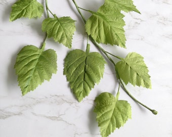 Vintage Green Birch leaf branch from Germany for Floral arrangements, bouquets, weddings, crowns, hats