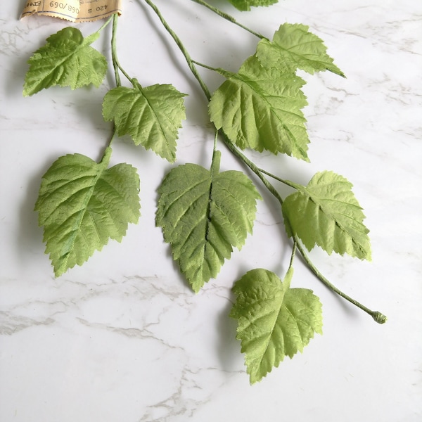 Vintage Green Birch leaf branch from Germany for Floral arrangements, bouquets, weddings, crowns, hats