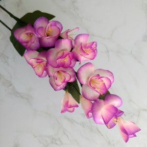 May include: A cluster of pink and white freesia flowers with green leaves. The flowers are arranged in a cascading pattern, with the tips of the flowers pointing downwards.