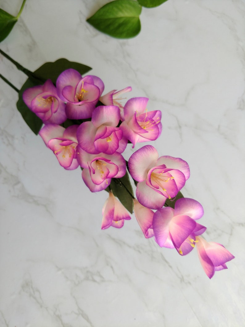 May include: A cluster of pink and white freesia flowers with green leaves. The flowers are arranged in a cascading pattern, with the tips of the flowers pointing downwards.