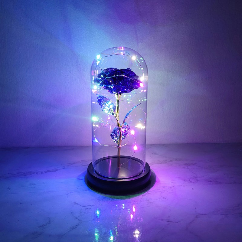 Rose In Glass Rose in Glass Dome - Etsy