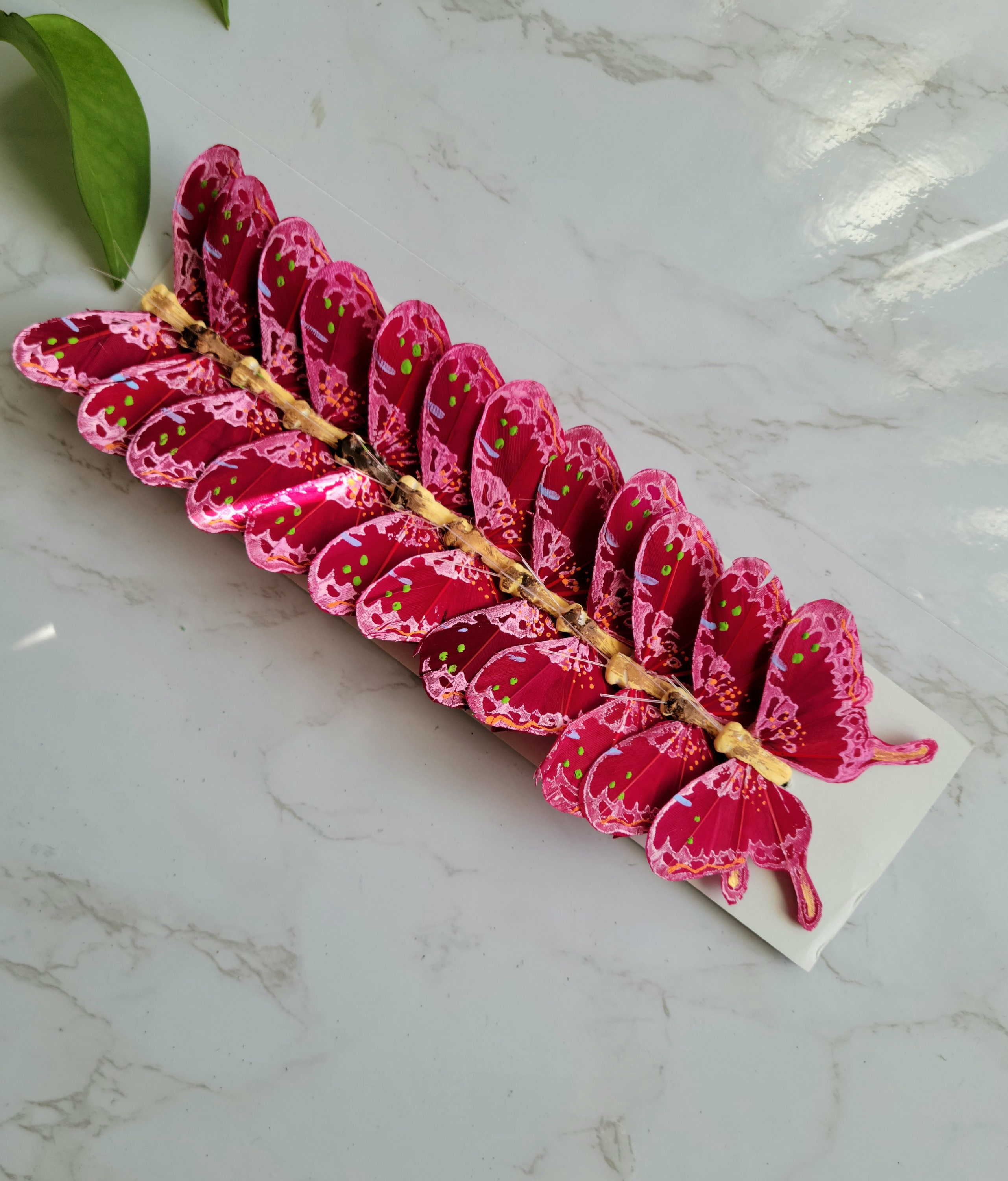 12-3\, image size:2562x3000