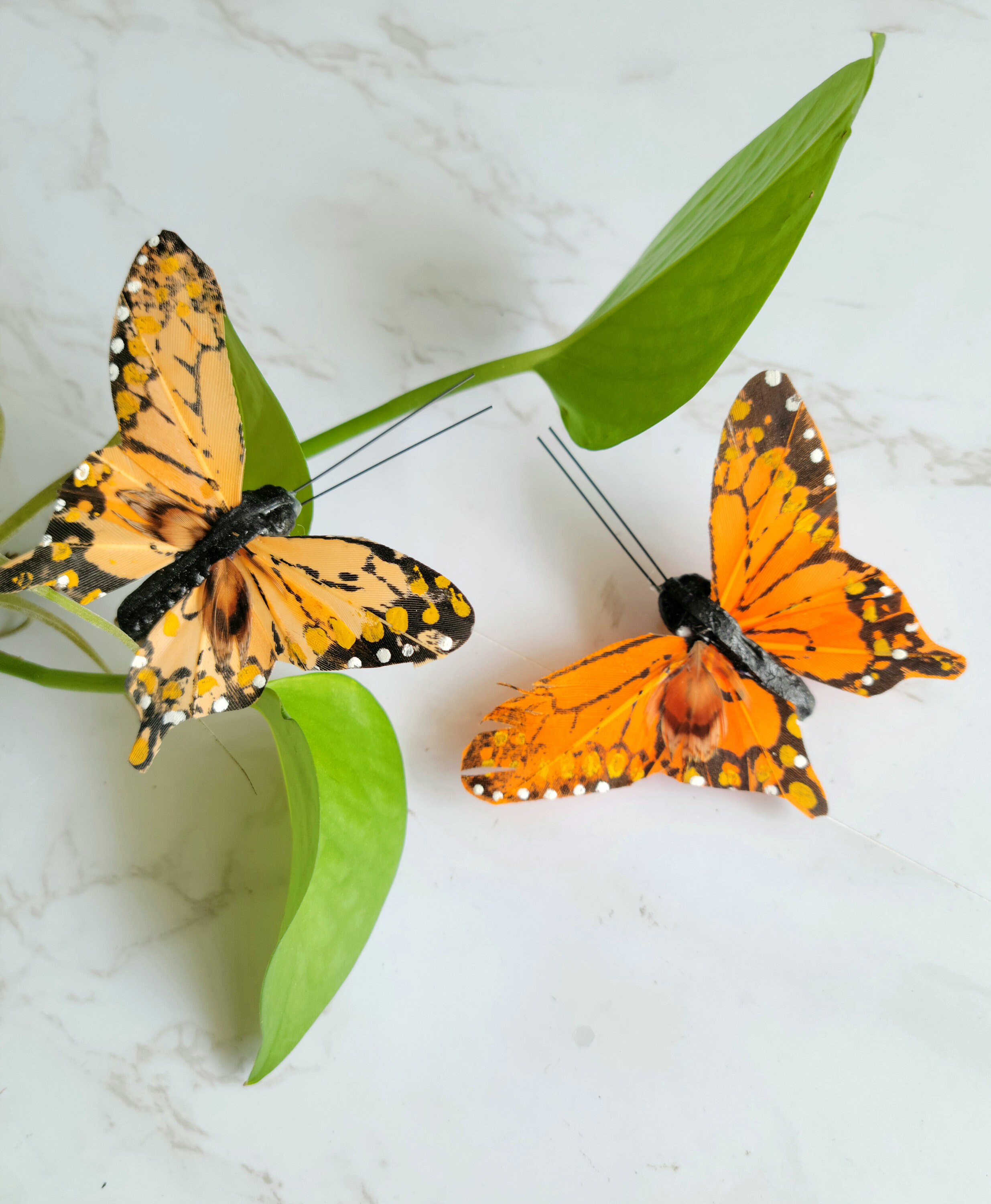 monarch butterfly tie