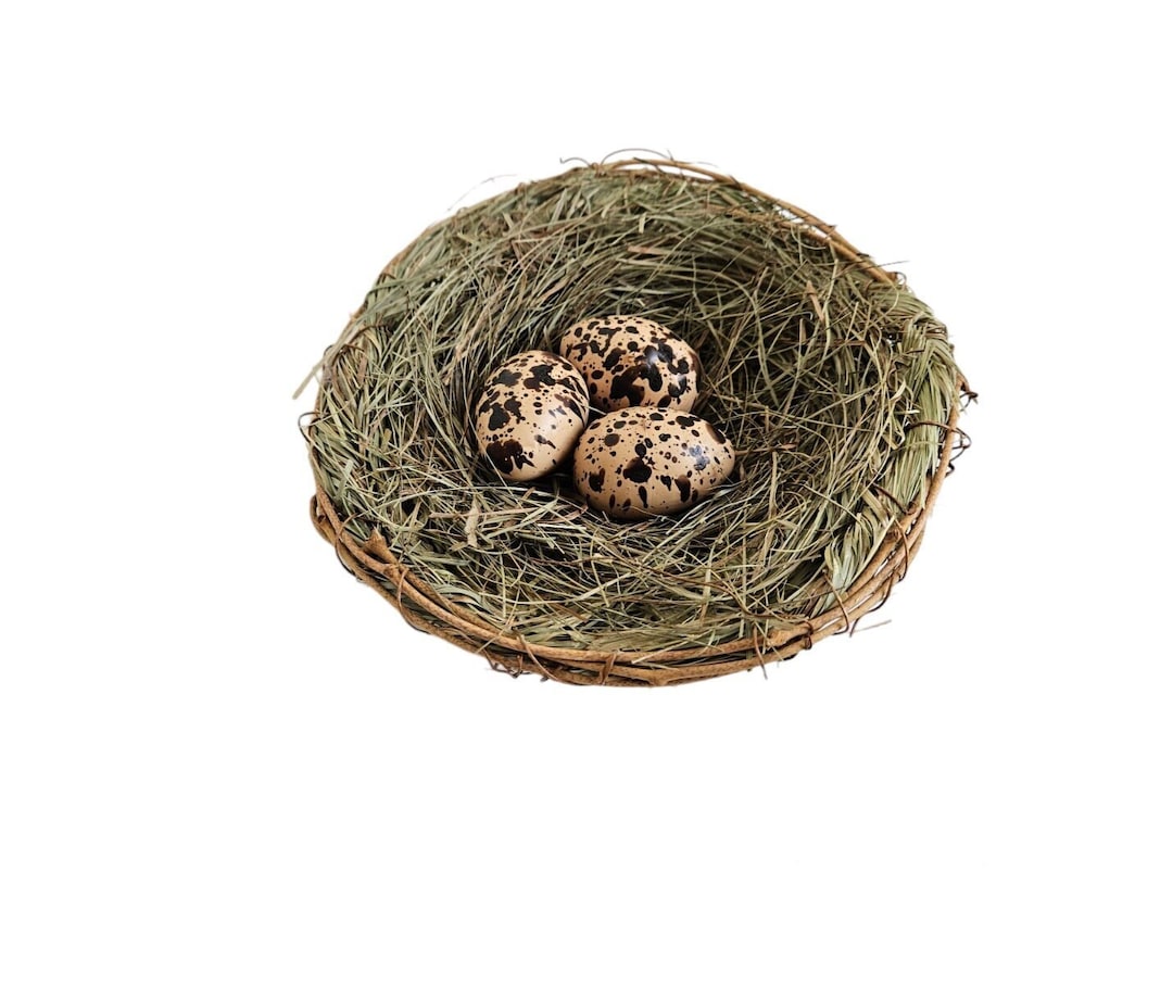 6 Artificial Bird Nest With Eggs for Home, Garden Decorations, Hats
