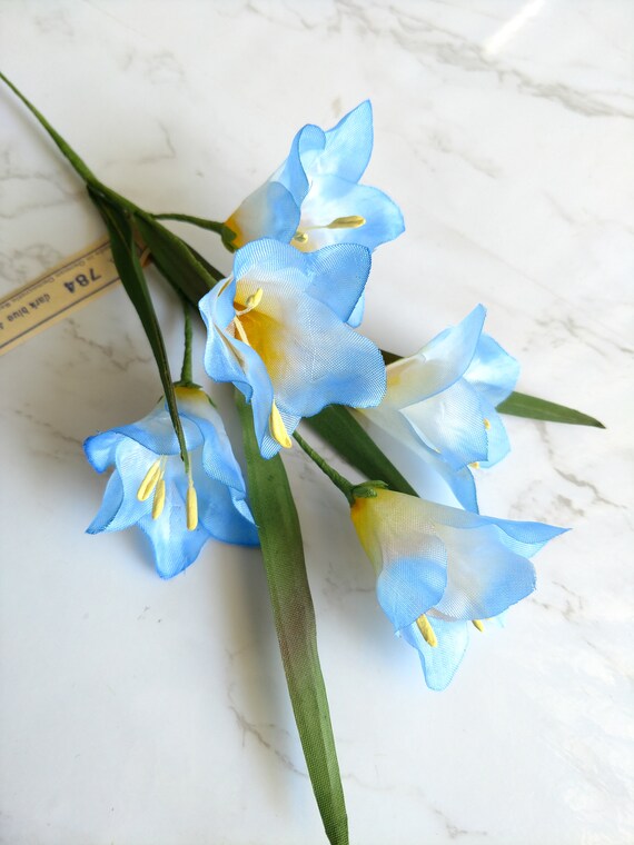 Blue freesia sale