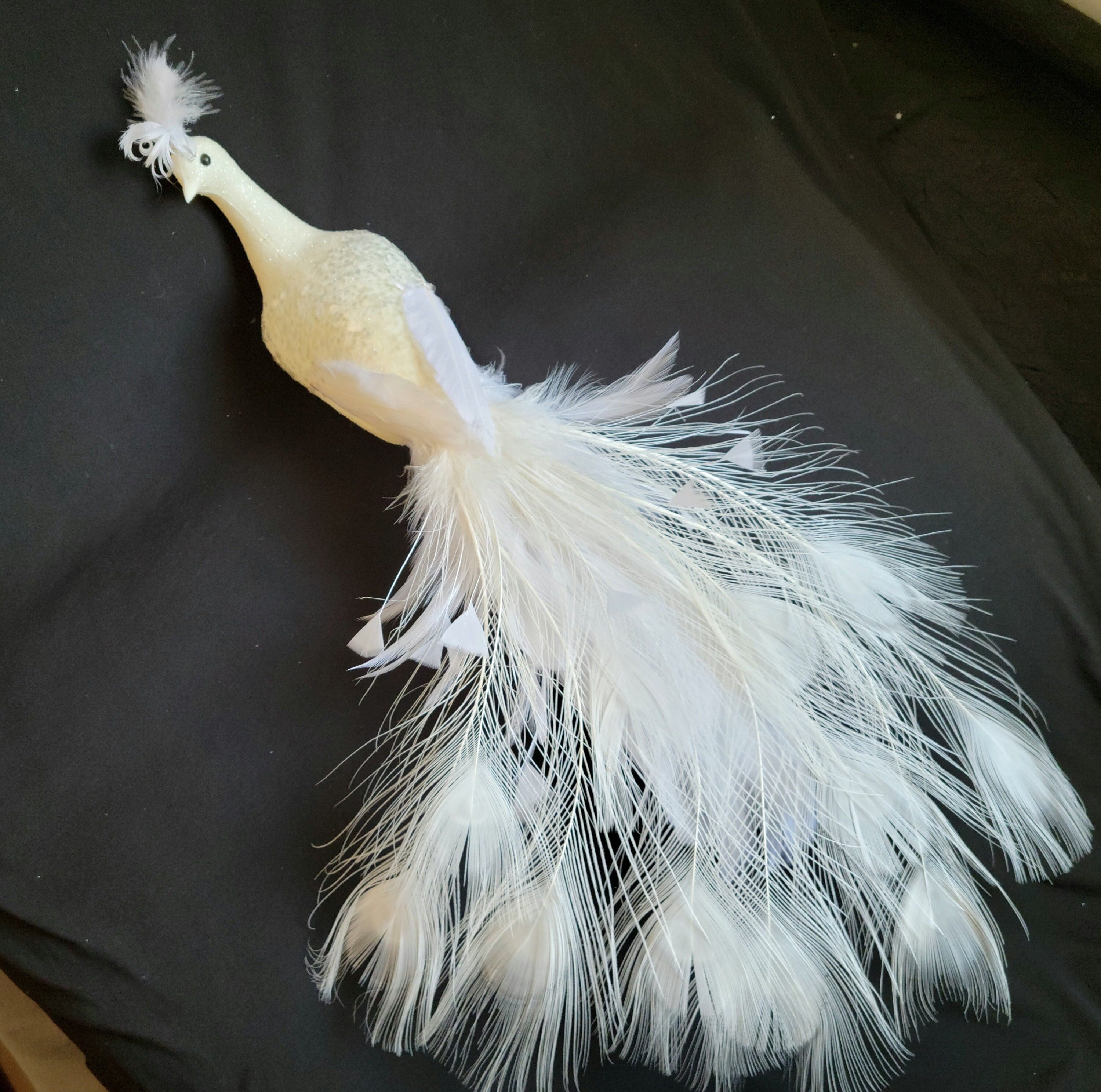 White Peacock Feathers Dress