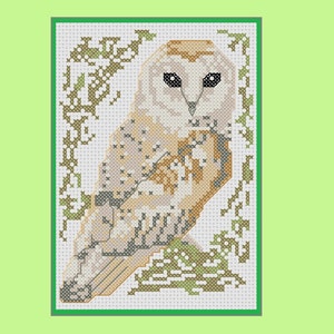 Barn owl cross stitch pattern: birds series