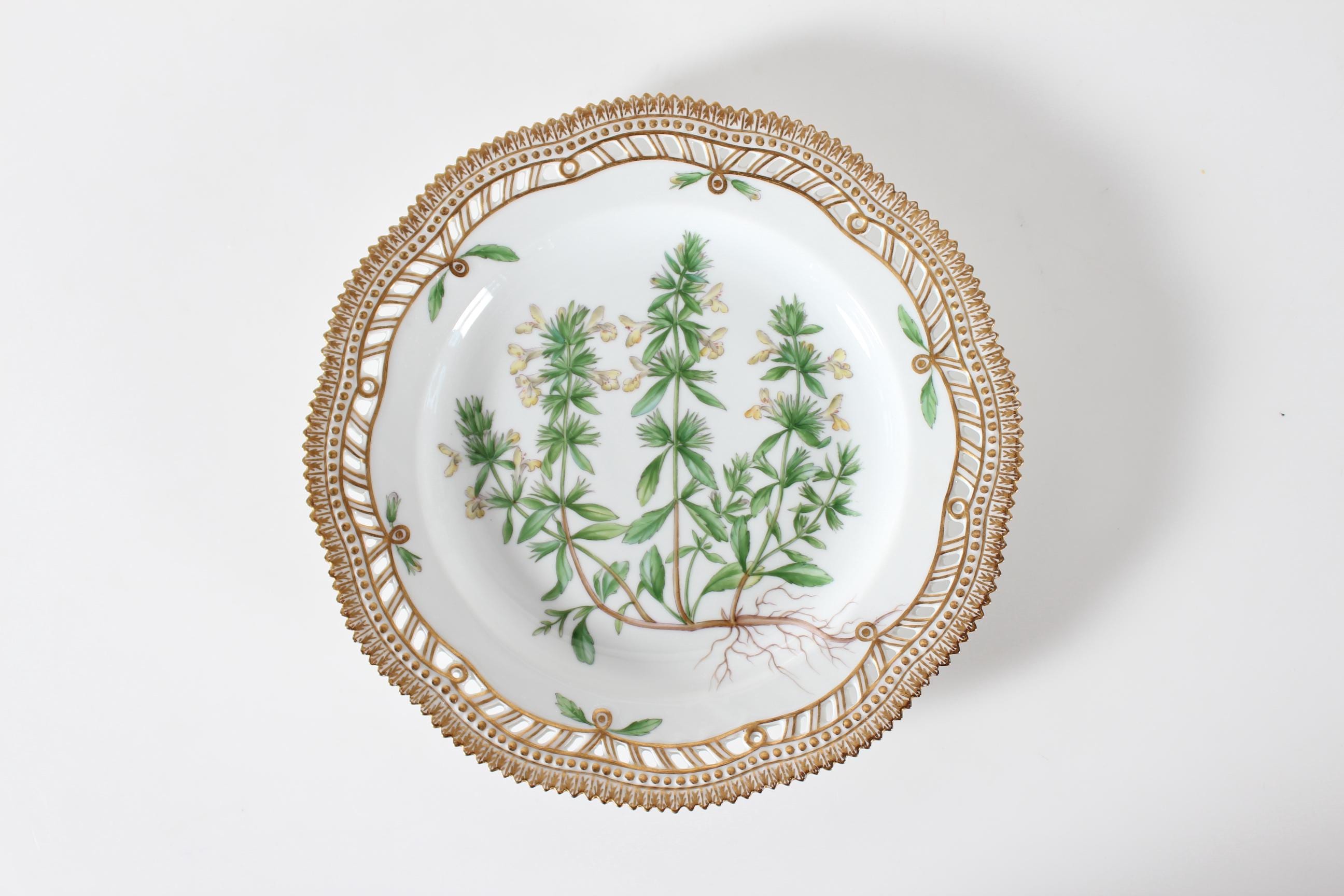 ★超希少★ロイコペ フローラダニカ フルーツサービス ☆超希少☆ロイコペ フローラダニカ フルーツサービス - メルカリ