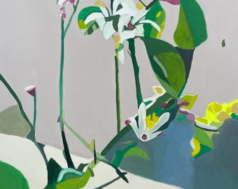 Still Life Dreamscape