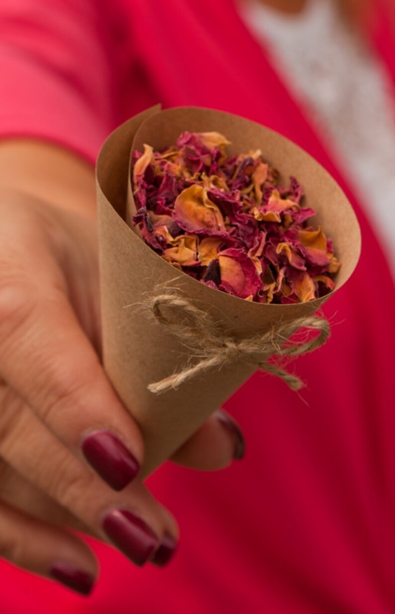 Recycled Brown Kraft Paper Confetti Cones Pack Of 50 Etsy