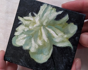 White Peony - Origineel olieverfschilderij kleine bloemstilleven van Katharina Gifford, 3 x 3 in.