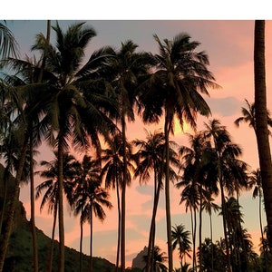 Carte Postale • Coucher de soleil à Moorea  • Photographie  • ©La Touch'Turkoiz  •