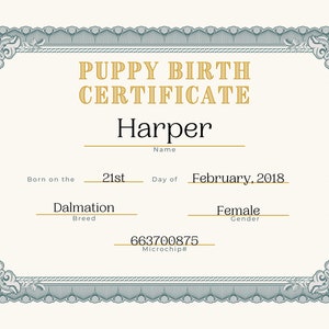Geboorteakte puppy LEEG DIRECT AFDRUKBAAR voor hondenfokkers, nieuw puppycadeau, puppy-infopakket
