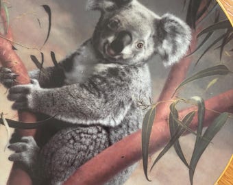 The Koala Ceramic Collector Plate Charles Frace 1st Issue 1990 8in