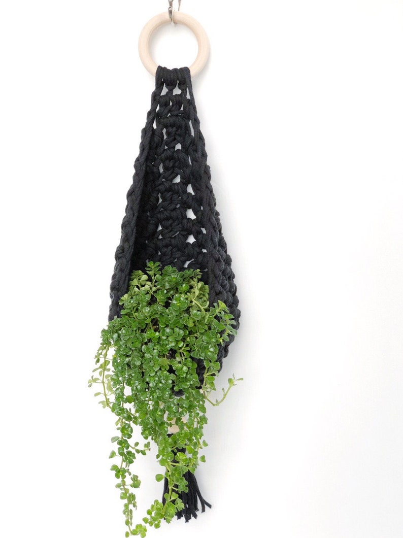 May include: A black macrame plant hanger with a wooden ring at the top. A green plant is hanging in the macrame hanger.