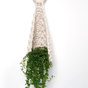 May include: A white macrame plant hanger with a wooden ring at the top. A small green plant is hanging in the macrame planter.