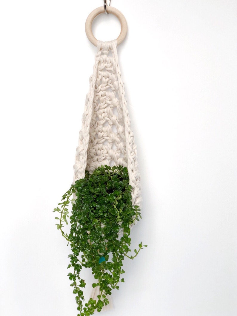 May include: A white macrame plant hanger with a wooden ring at the top. A small green plant is hanging in the macrame planter.