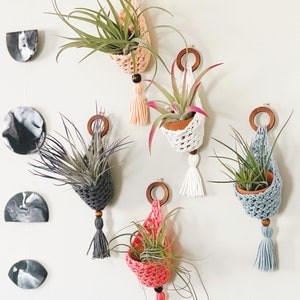 Cozy Crochet Air Plant Hanger | Air Plant Hanger | Crochet Pattern PDF | Air Plants | Gift Ideas | Crochet Pattern | Crochet Plant Hanger