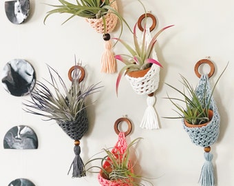 Cozy Crochet Air Plant Hanger | Air Plant Hanger | Crochet Pattern PDF | Air Plants | Gift Ideas | Crochet Pattern | Crochet Plant Hanger