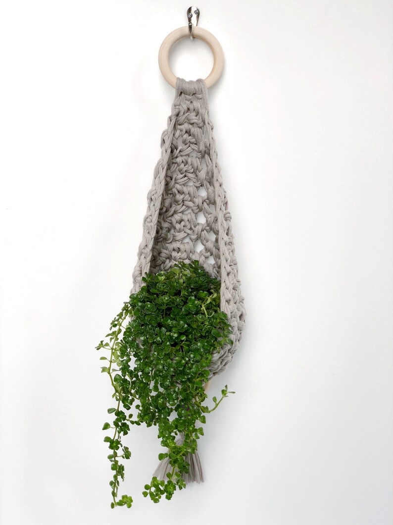May include: A gray crocheted hanging planter with a wooden ring at the top, holding a green plant with trailing vines.