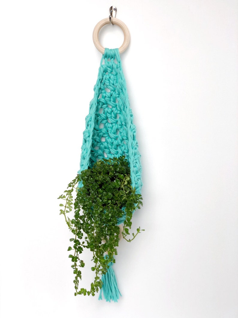 May include: A turquoise crocheted plant hanger with a wooden ring at the top and a small green plant hanging inside.