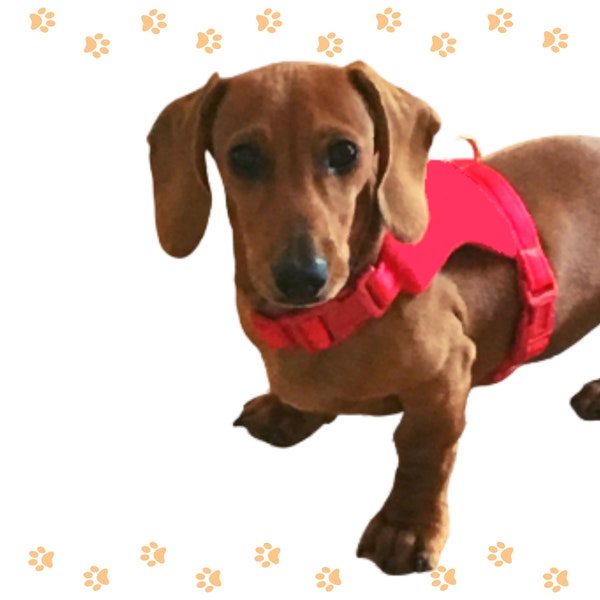 Dachshund Custom Fit Dog Harness, Soft Wiener Harness, Fully Adjustable Teckel Vest Harness, Dackel, Doxin, Sausage Dog, Daxie, Dachie, Dax
