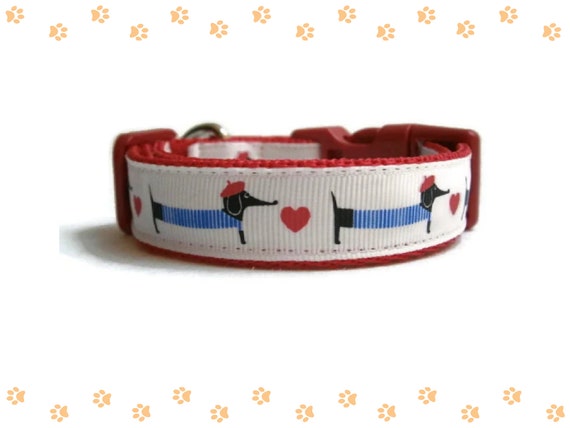 Set Collare E Guinzaglio Per Cani EXPAWLORER - Con Papillon E Bandana, Campanello Regolabile - Foto 12