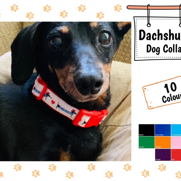 Dachshund Dog Collar With Soft Cushion Webbing, Adjustable Teckel Collar, Dackel Dog Collar, X Small Puppy Collar Gift, Choice Of 10 Colours