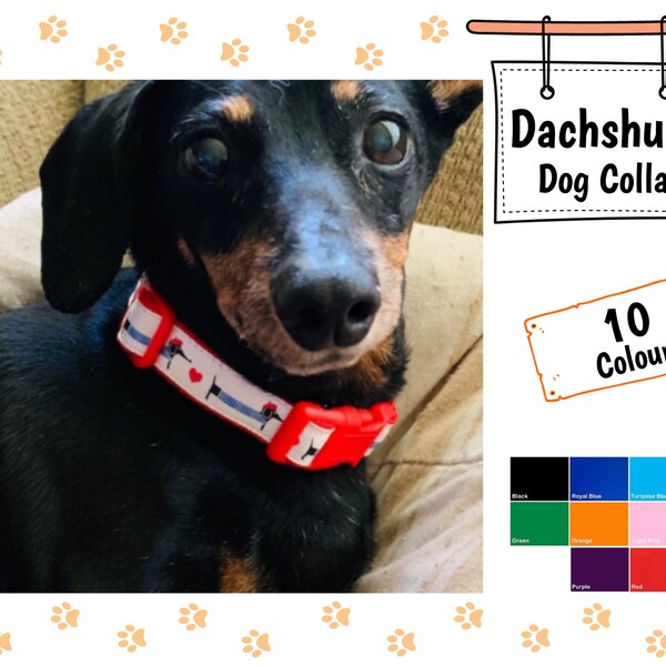 Dachshund Dog Collar Etsy