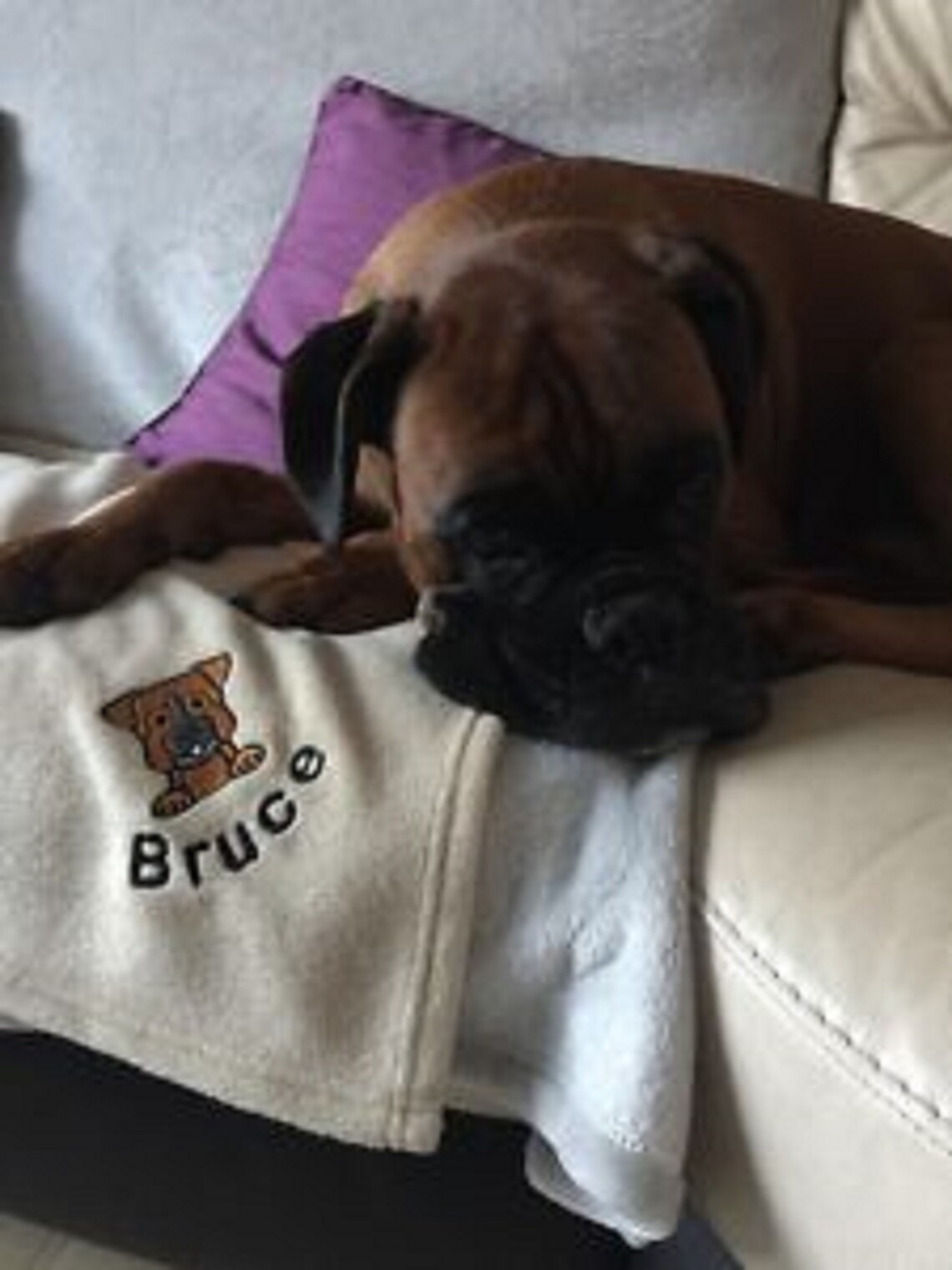 Boxer Dog Blanket Personalised Puppy Blanket Embroidered Dog Etsy