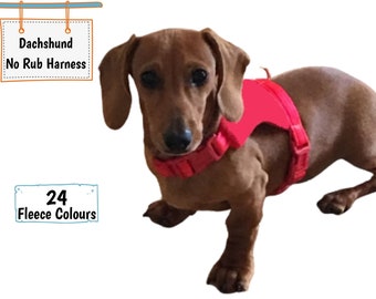 mini dachshund harness