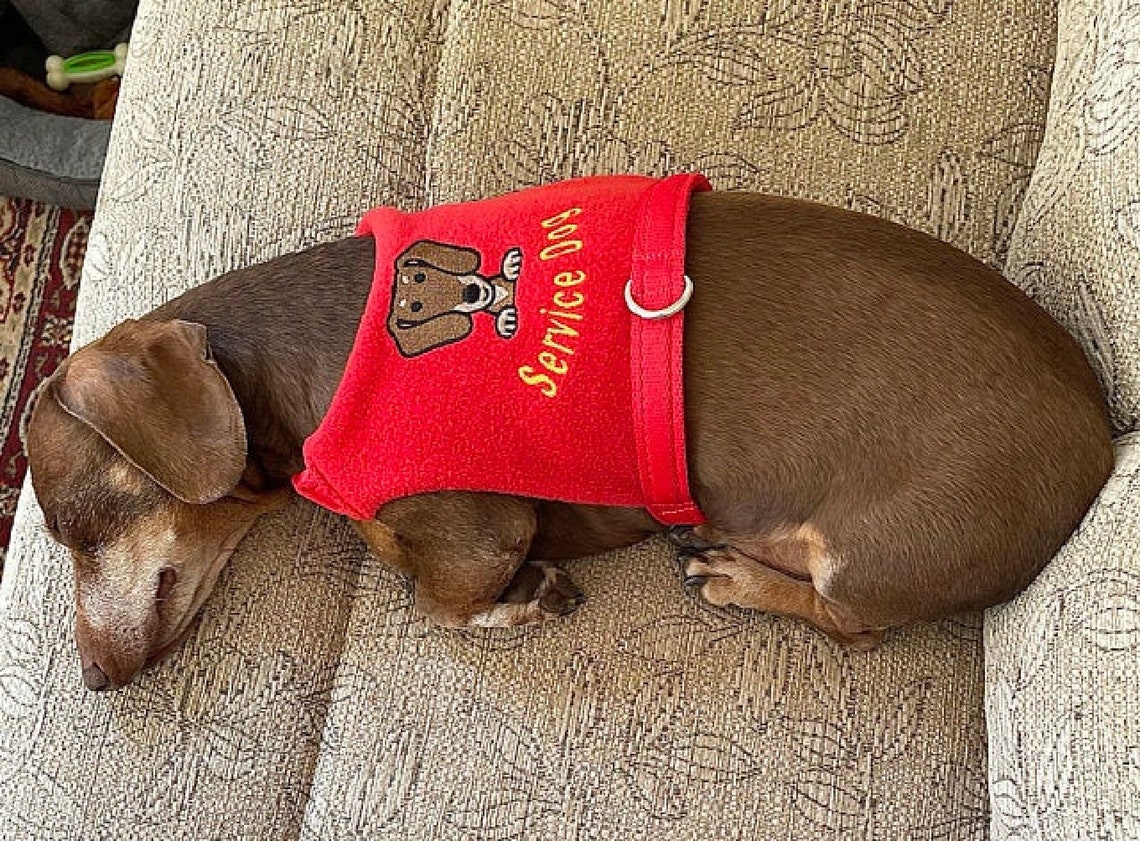 Teckel Harness No Rub Adjustable Dachshund Dog Harness Doxin Etsy