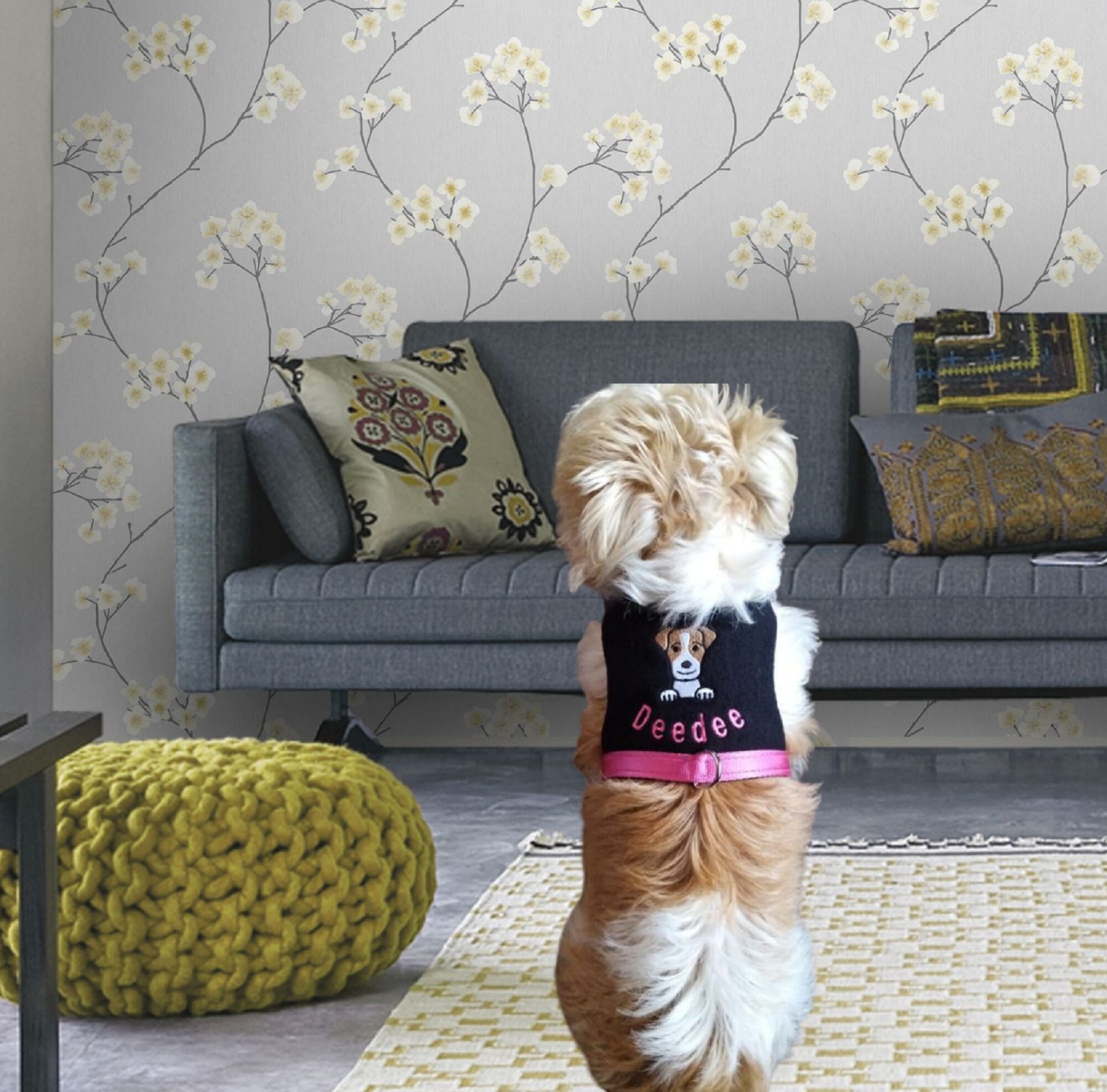 Dog Harness No Rub Under Front Legs Made to Measure Soft Dog Etsy