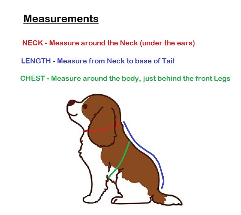 Dog Harness No Rub Under Front Legs Made to Measure Soft Dog Etsy