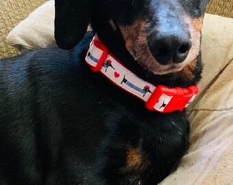 maga dog collar