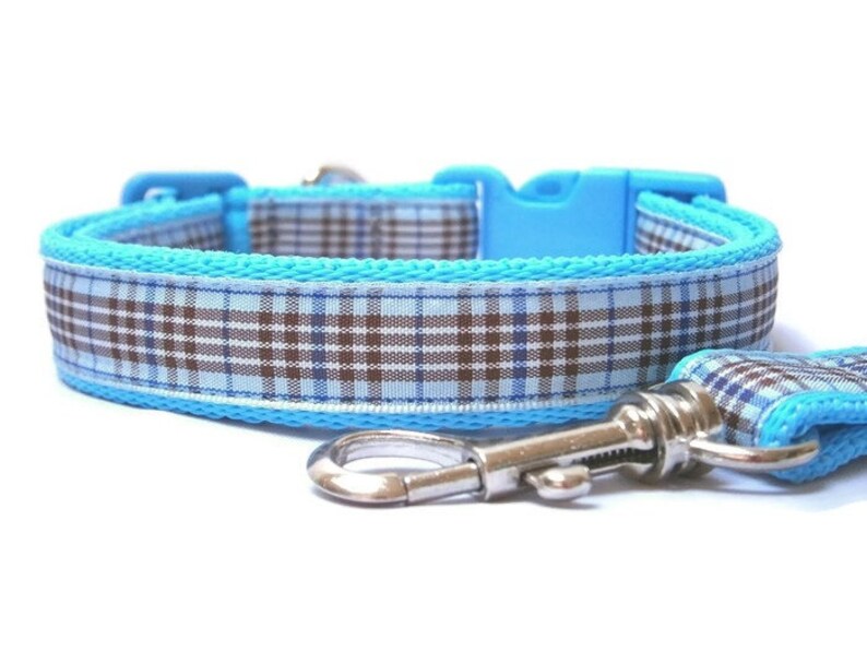 blue dog collar and lead