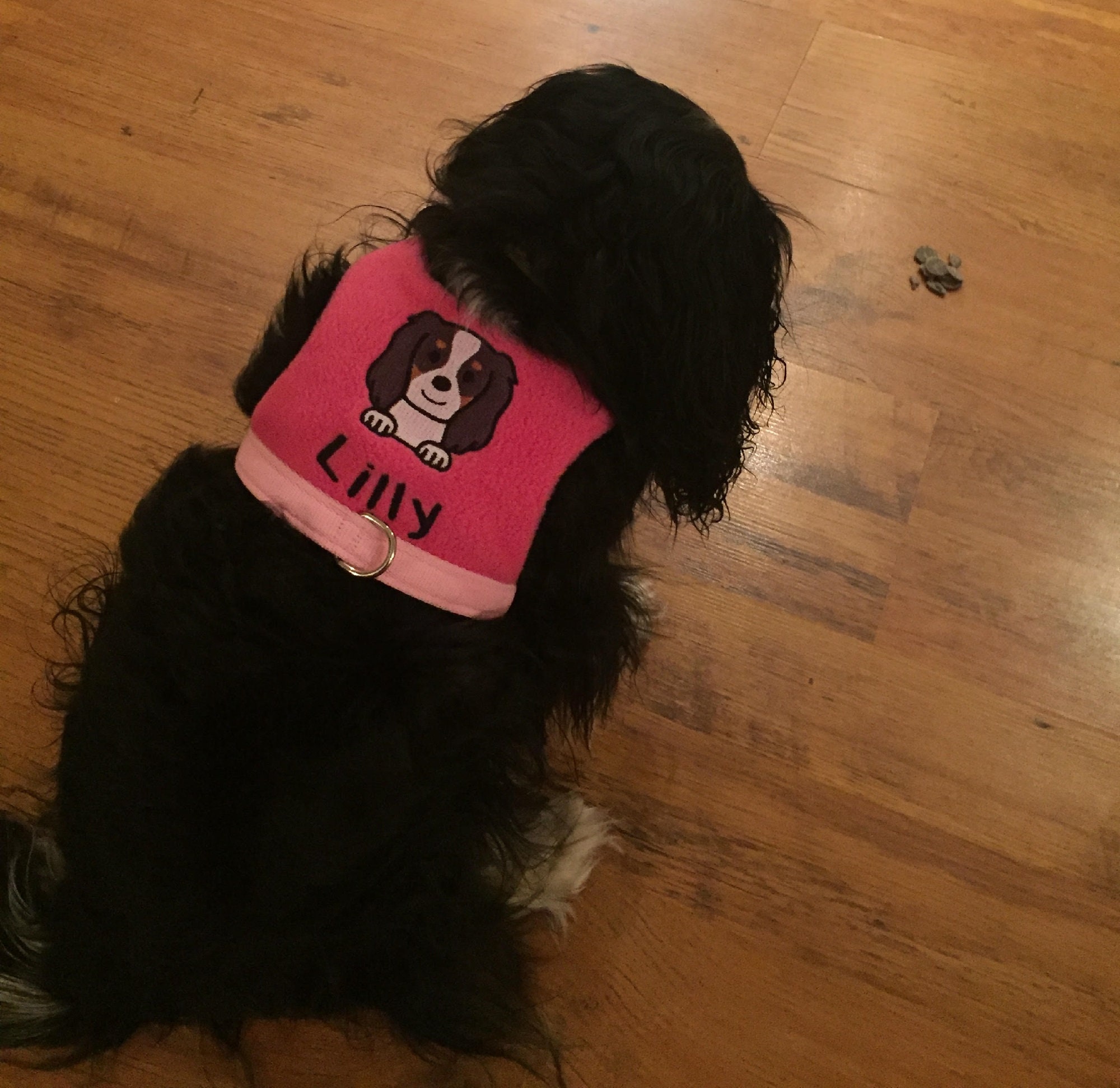 Fleece Dog Harness Cavalier King Charles Spaniel Vest Etsy