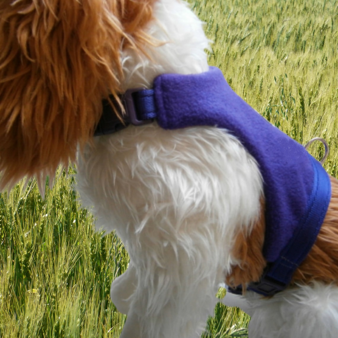 Cavalier King Charles Spaniel Dog Harness Soft Puppy Harness Etsy