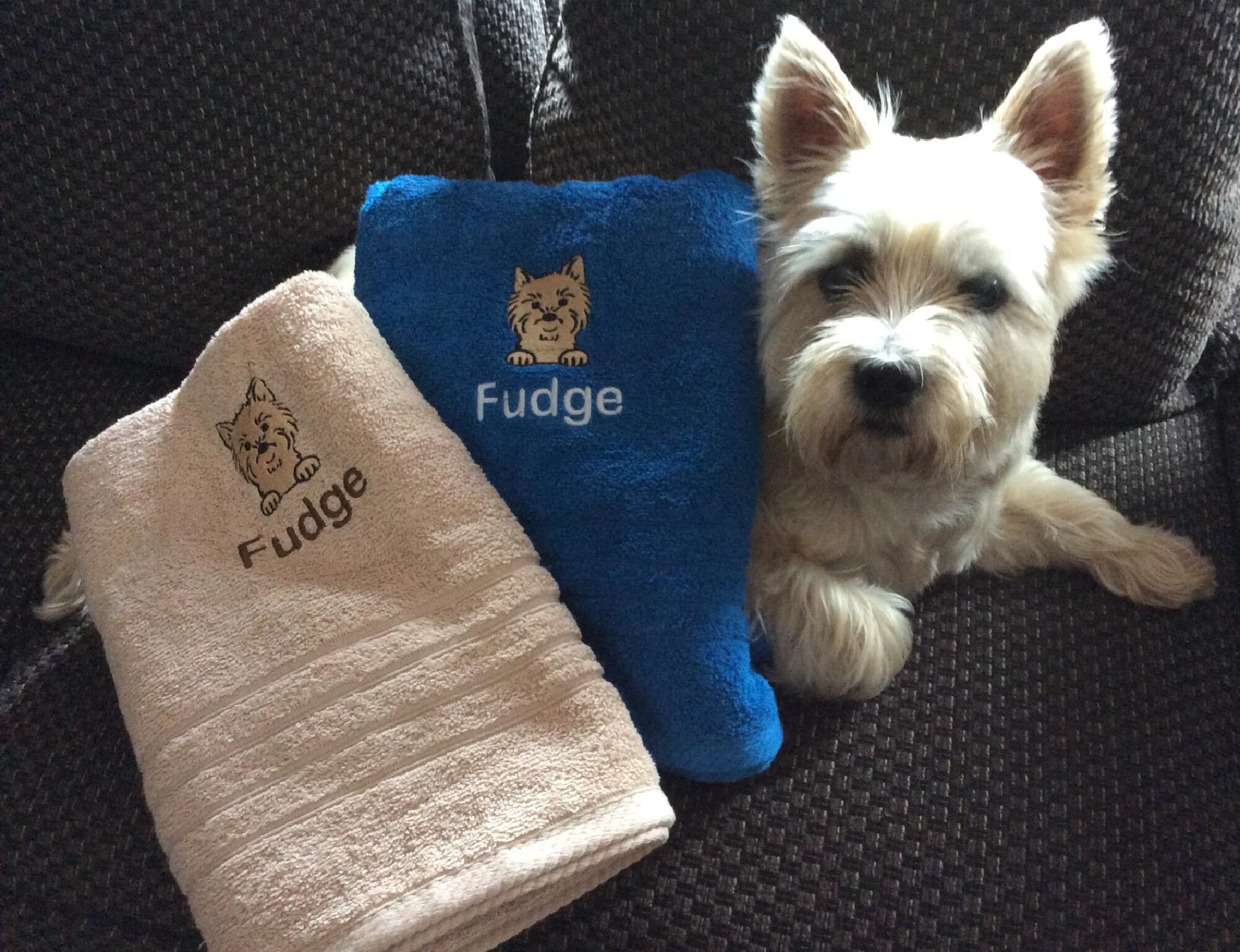 Bath Towel Personalised Embroidered Bath Towel Dog Image Etsy