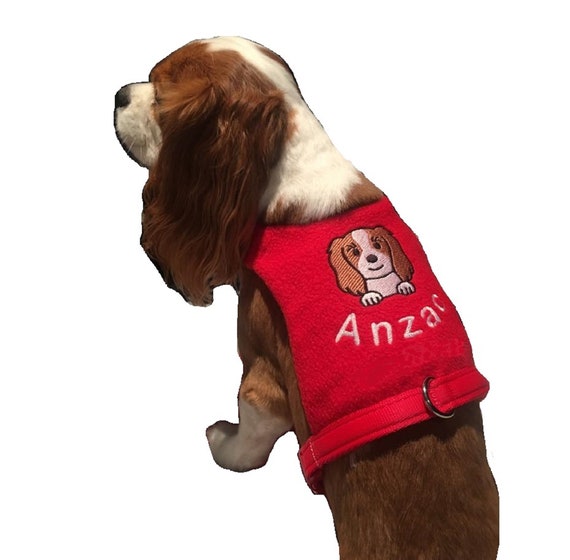 Cavalier King Charles Spaniel Blenheim Comfort Harness Adjustable Dog