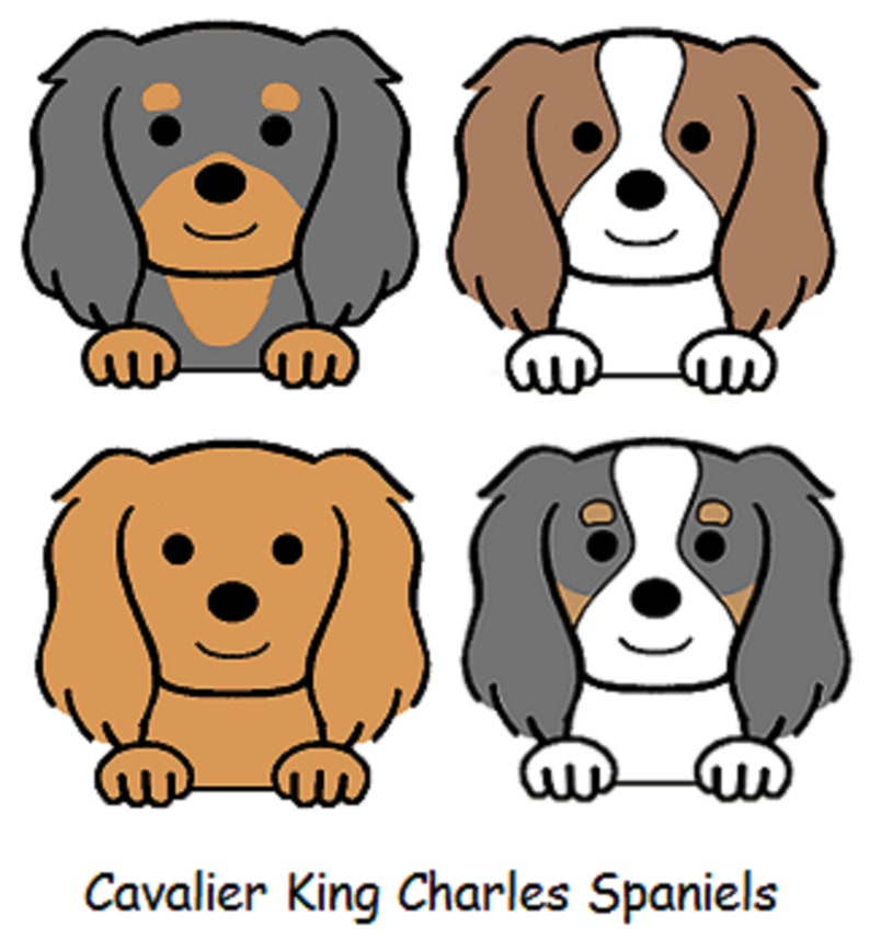 Cavalier King Charles Spaniel Dog Harness Soft Puppy Harness Etsy